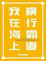 我在海上横行霸道小说