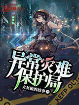 异常灾难保护局小说