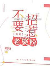 不要招惹老婆粉小说