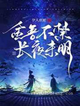 金吾不禁，长夜未明小说