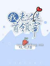 我老公是首领宰小说