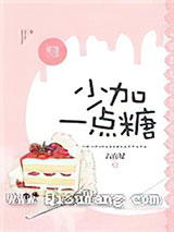 少加一点糖小说