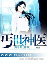 丐世神医小说