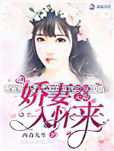 暖宠无限之娇妻入怀来小说