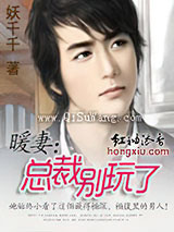 暖妻：总裁别玩了小说