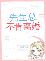 先生总不肯离婚小说