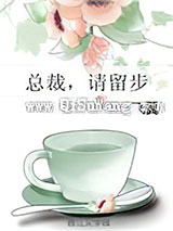 总裁，请留步小说