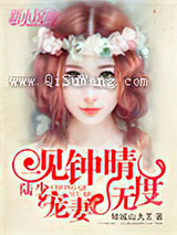 一见钟晴：陆少，宠妻无度小说