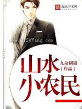 山水小农民小说