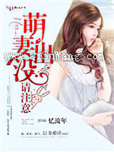 萌妻出没，请注意！小说