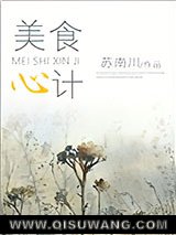 美食心计小说