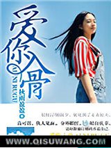 爱你入骨小说