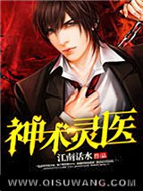 神术灵医小说