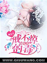 顾先生，你是我戒不掉的毒！小说