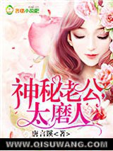 神秘老公,太磨人小说