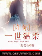 许你一世温柔小说