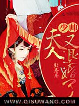 报告，夫人又退婚了小说