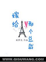 嫁给那个总裁小说