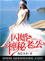 闪婚神秘老公小说