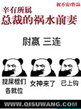 辛有所属:总裁的祸水前妻小说