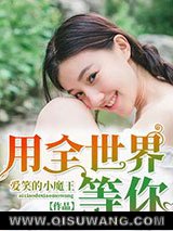 用全世界等你小说
