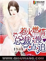 惹火燃情：总裁，慢点追小说