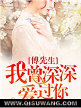 傅先生，我曾深深爱过你小说