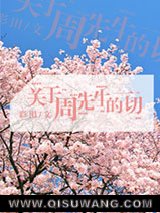 关于周先生的一切小说