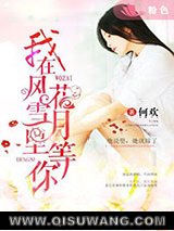 我在风花雪月里等你小说