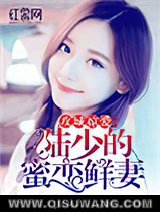 攻城掠爱：陆少的蜜恋鲜妻小说