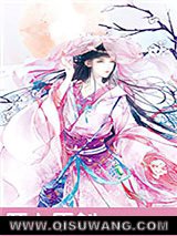 乱世佳人:第一军阀夫人小说