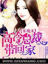 八块八：高冷总裁带回家小说