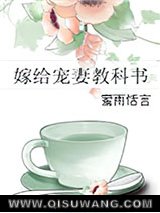 嫁给宠妻教科书小说
