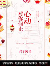 对你何止心动小说