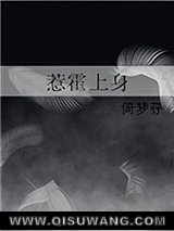 惹霍上身小说