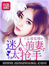 总裁危情：迷人前妻太抢手小说