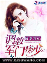 辣妻当家：调教军门痞少小说