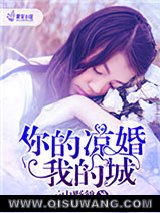 你的凉婚我的城小说