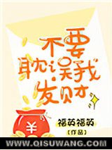 不要耽误我发财小说