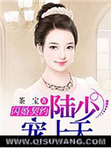 闪婚契约：陆少宠妻上天小说