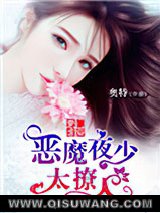 豪门虐爱：恶魔夜少太撩人小说