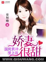 国民男神爱上我小说