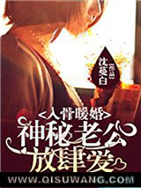 入骨暖婚：神秘老公放肆爱小说