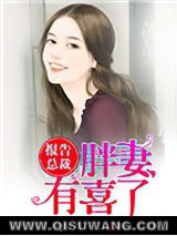 报告总裁，胖妻有喜了小说