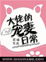 大佬的宠妻日常小说