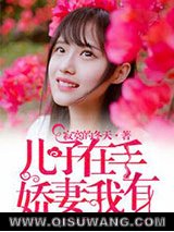 儿子在手，娇妻我有小说
