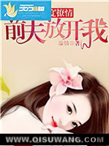 再度撩情，前夫放开我小说