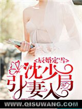 辰婚定雪：沈少引妻入局小说