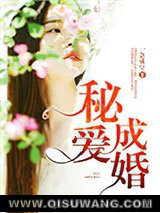 秘爱成婚小说