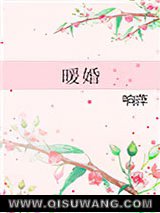 暖婚小说